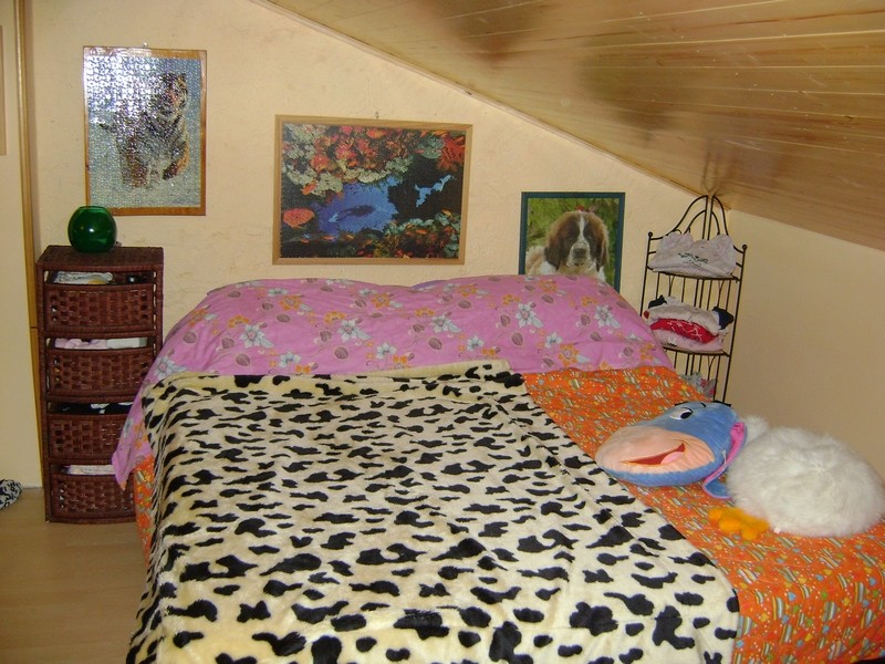 la vecchia soffitta